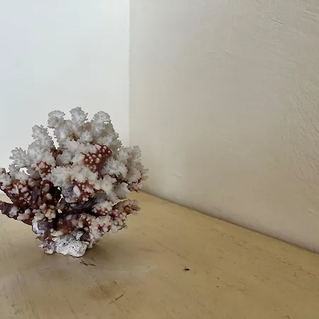 Beach, Sun, Air Conditioning And Parking In Agay! Lägenhet