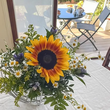 Beach, Sun, Air Conditioning And Parking In Agay! * Saint-Raphaël